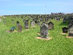 2006-0606-1404-44.jpg